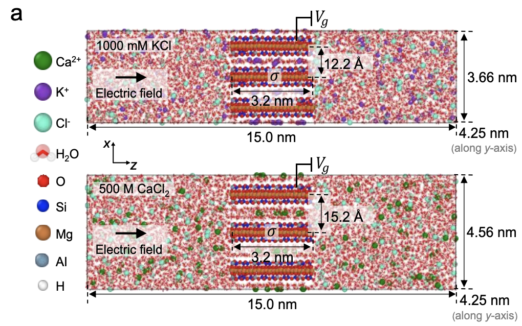 Our paper accepted to Nature Communications