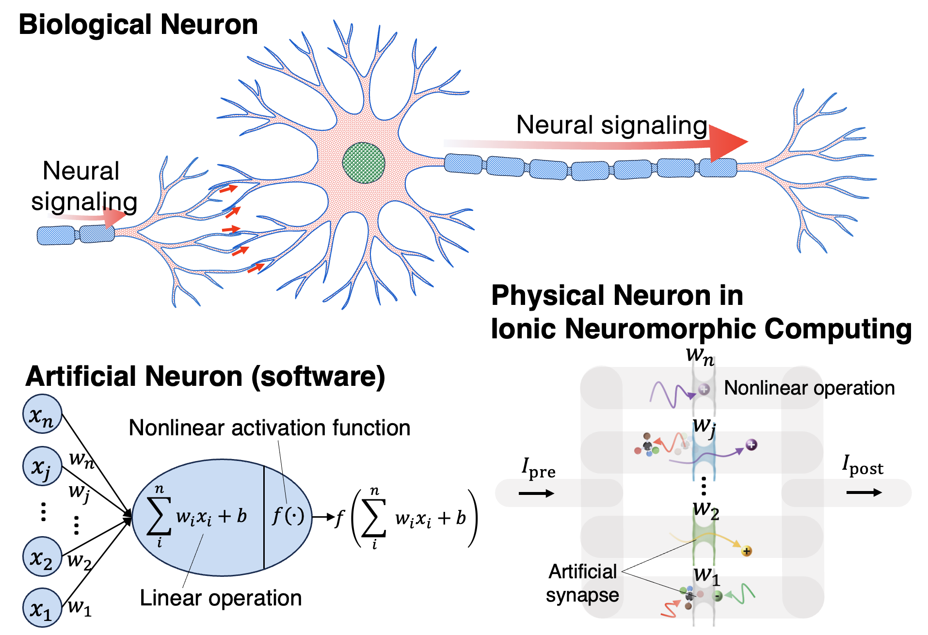 Ionic Neuromorphic Computing